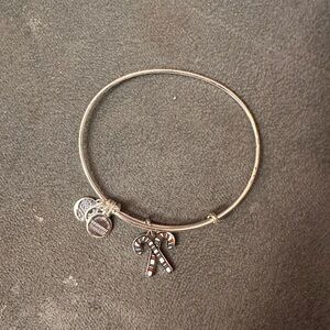 Alex and ani candy cane bracelet! Like new!